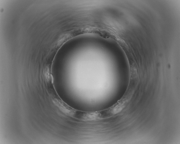 X0000077350479200610201329