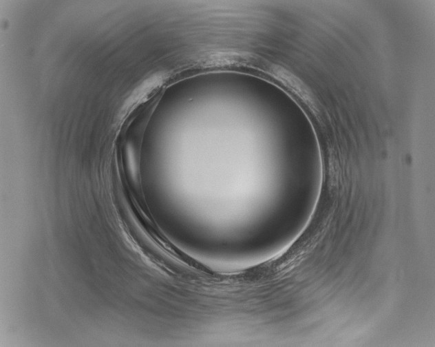 X0000077350485200610201328