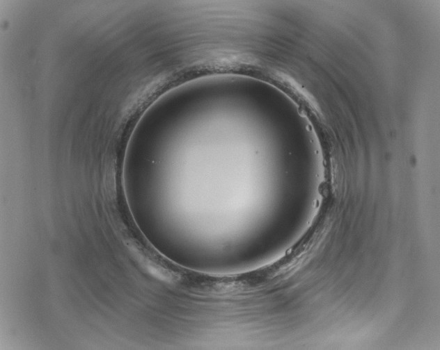 X0000077350493200610201328