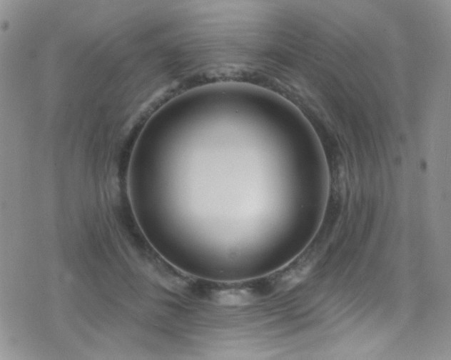 X0000077350508200610201328