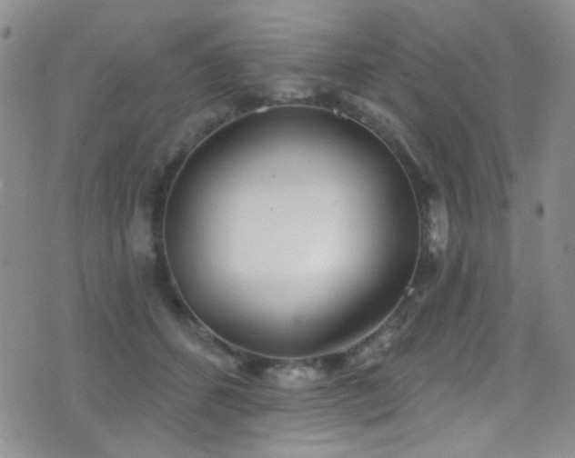 X0000077350512200610201328
