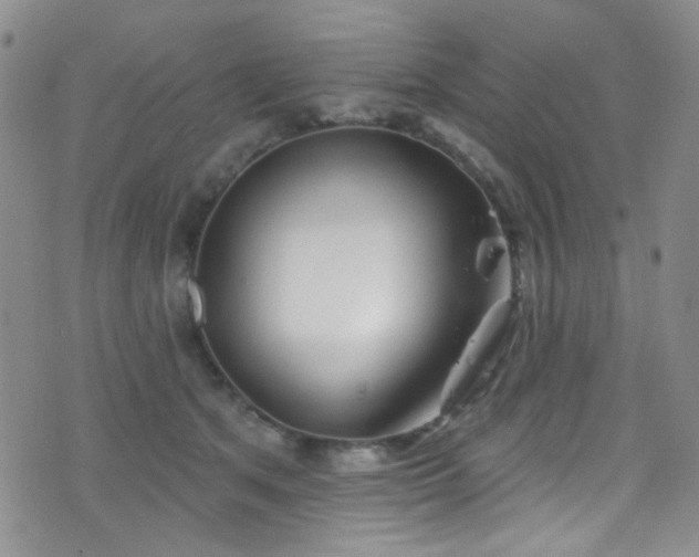 X0000077350513200610201328