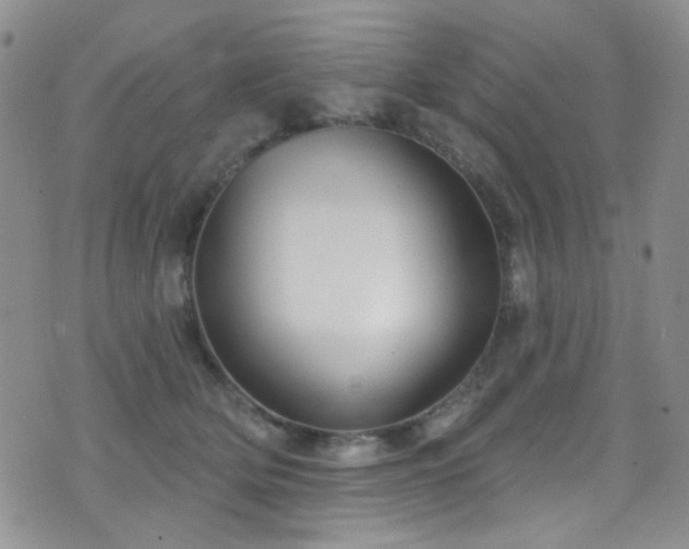 X0000077350514200610201328