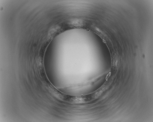 X0000077350518200610201328