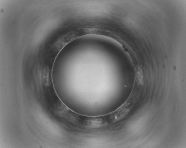 X0000077350525200610201328
