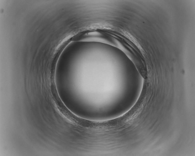 X0000077350530200610201327