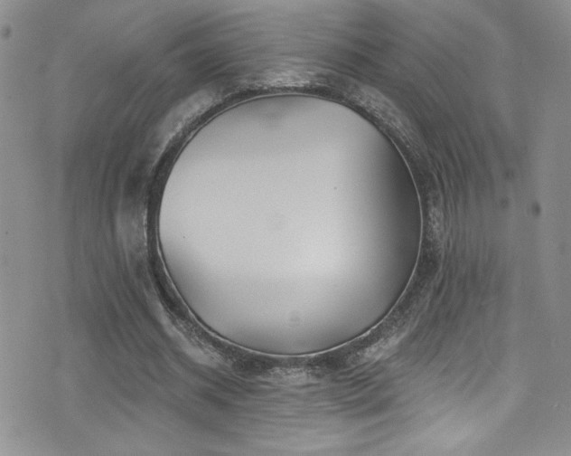 X0000077350534200610201327