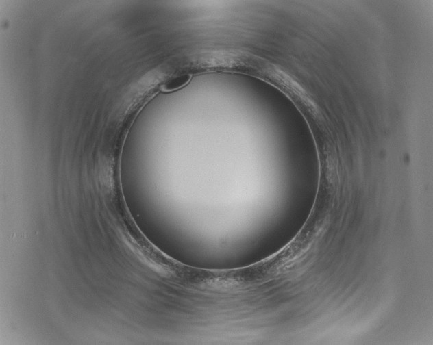 X0000077350537200610201327