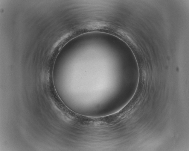 X0000077350539200610201327
