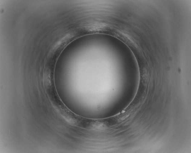 X0000077350547200610201327