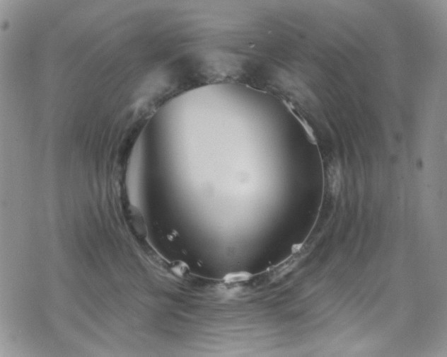 X0000077350570200610201328