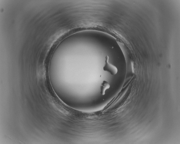 X0000077350584200610201327