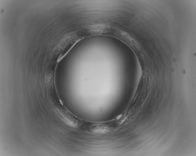 X0000077350601200610201326