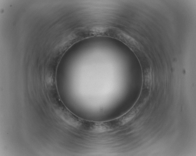X0000077350608200610201326
