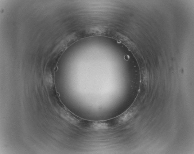 X0000077350617200610201326
