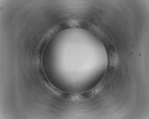 X0000077350618200610201326