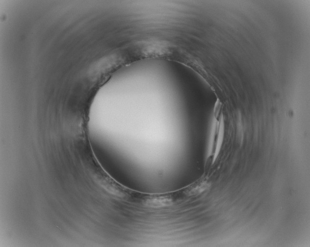 X0000077350619200610201326