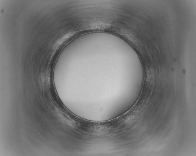 X0000077350632200610201325
