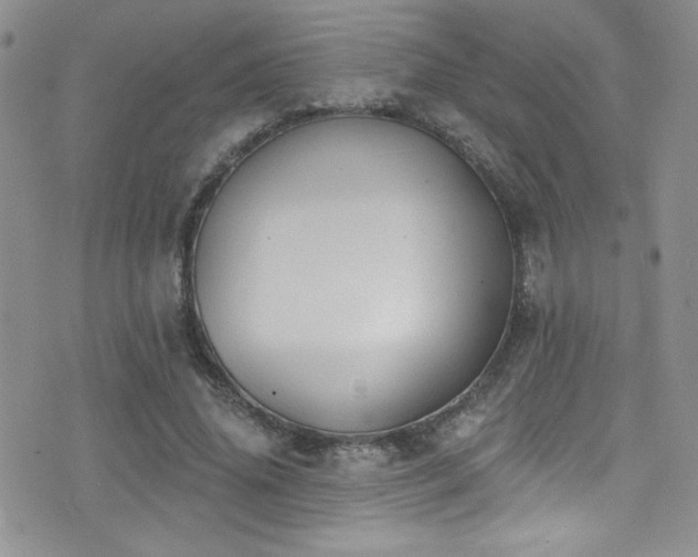 X0000077350636200610201325