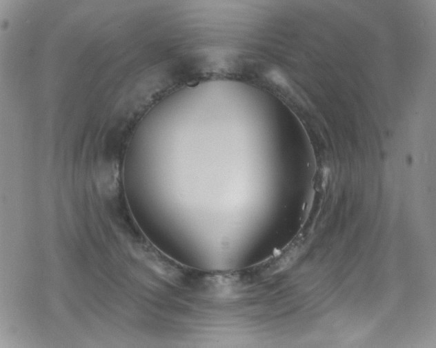 X0000077350660200610201326
