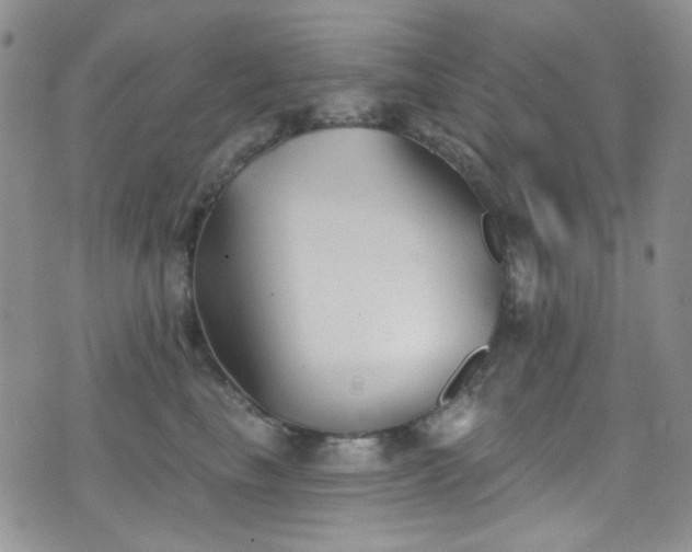 X0000077350665200610201326