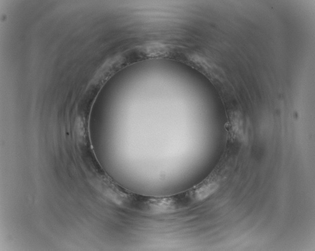 X0000077350667200610201326