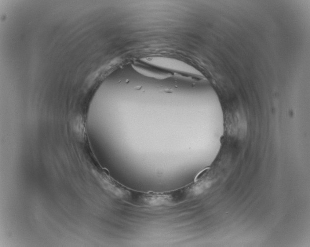 X0000077350670200610201326