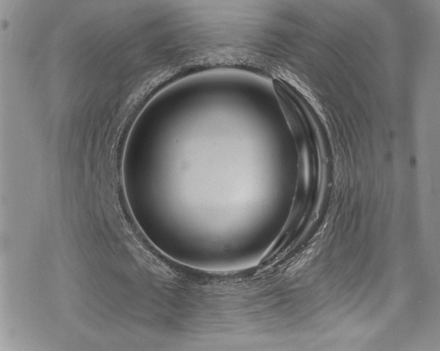 X0000077350673200610201325