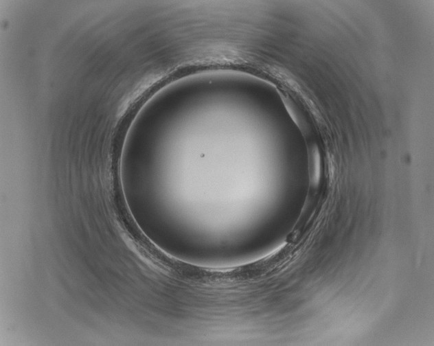 X0000077350677200610201325