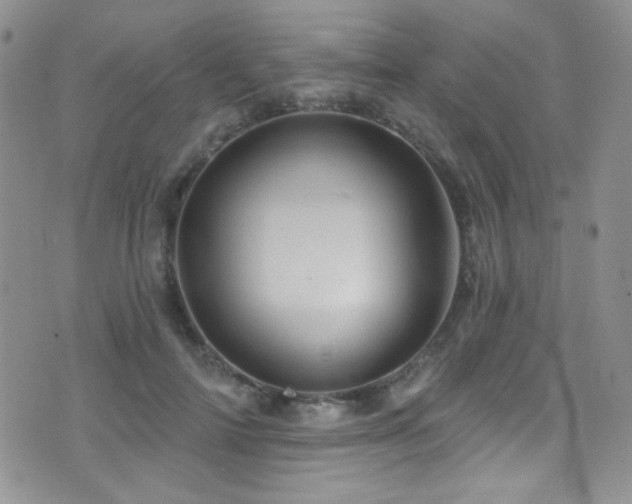 X0000077350698200610201325