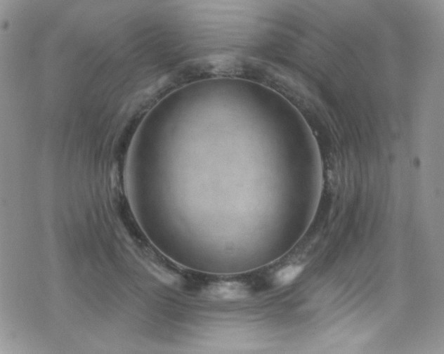 X0000077350748200610201324