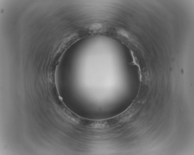 X0000077350756200610201324