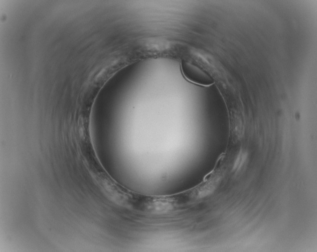 X0000077350758200610201324