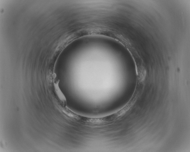 X0000077350766200610201324