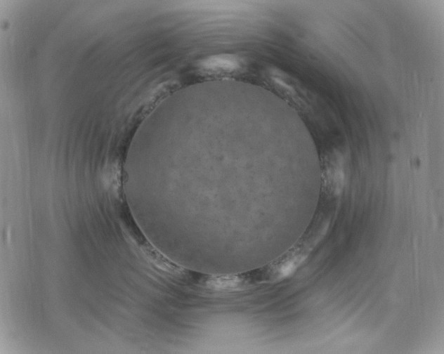 X0000077350767200610201324