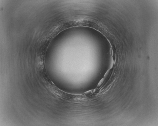 X0000077350771200610201324