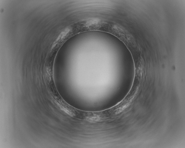 X0000077350772200610201324