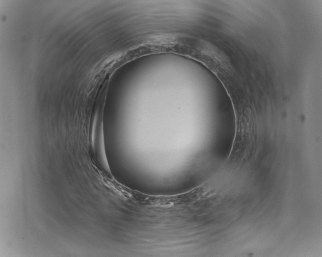 X0000077350773200610201324