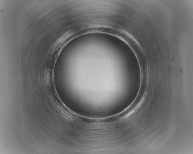 X0000077350777200610201323