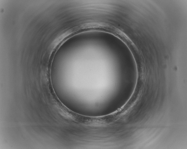X0000077350786200610201323