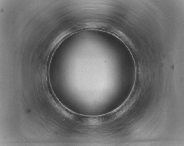 X0000077350794200610201323
