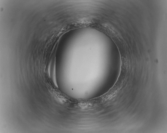 X0000077350818200610201322