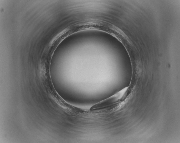 X0000077350826200610201322
