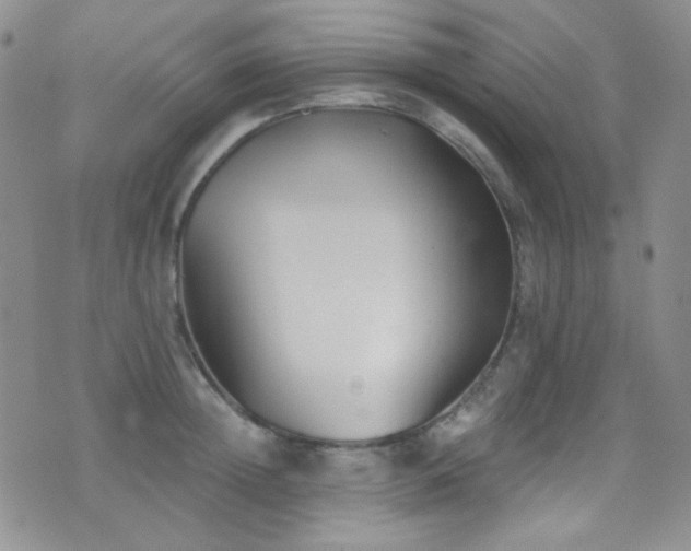 X0000077350852200610201323