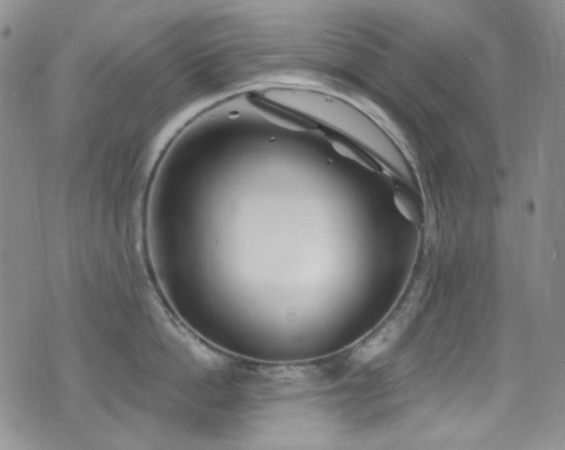 X0000077350862200610201323