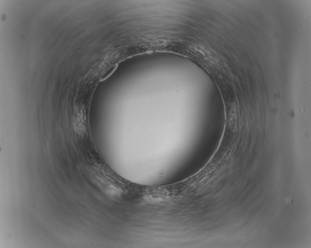 X0000077350866200610201322