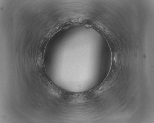 X0000077350867200610201322