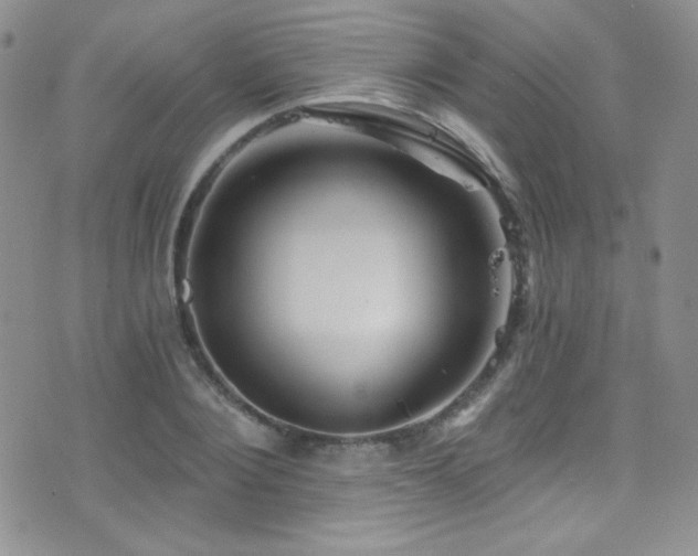 X0000077350884200610201322