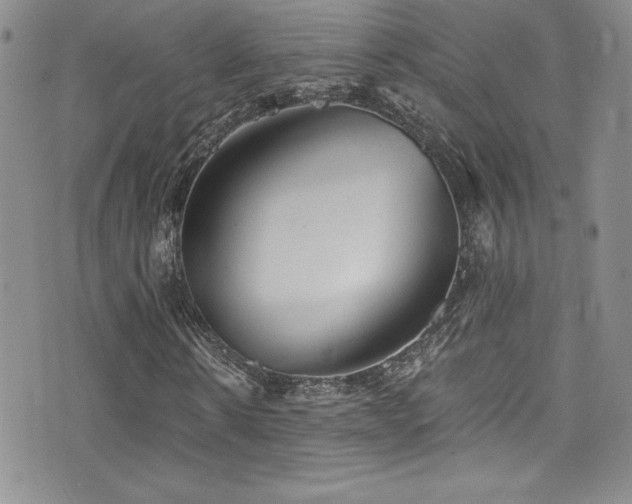 X0000077350914200610201320