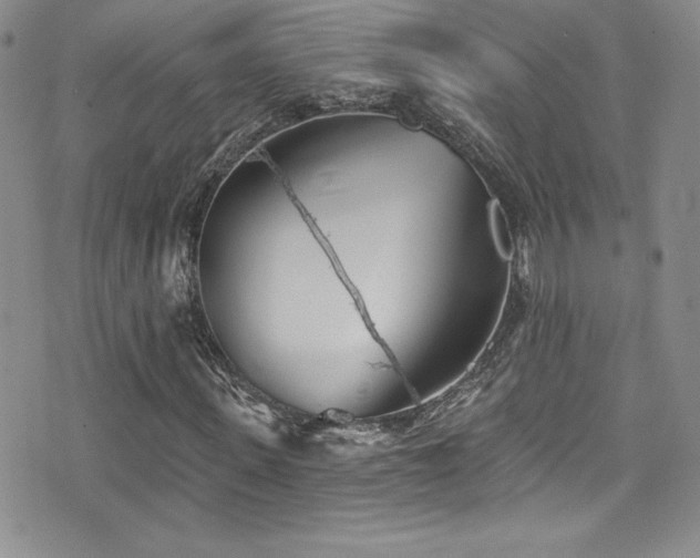 X0000077350915200610201320